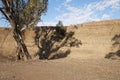 Exposed riverbank showing the layers of sand deposited throughout history Royalty Free Stock Photo